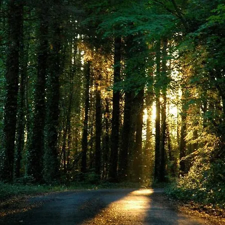 Bed & Breakfast Hazel Grove 4*