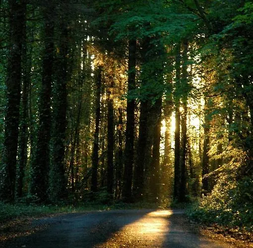 Bed & Breakfast Hazel Grove 4*