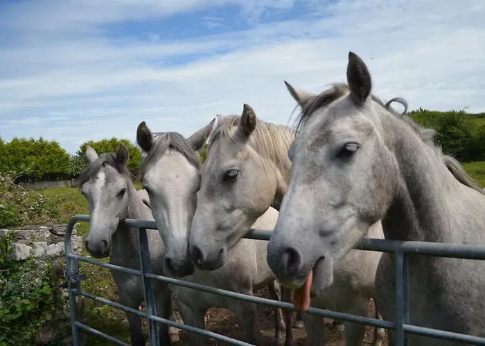 Hazel Grove Bed & Breakfast 4*